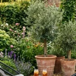 backyard landscaping ideas on a budget