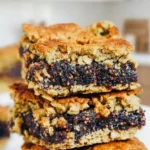 oatmeal fig bars