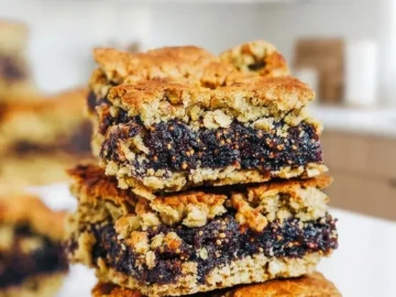 oatmeal fig bars