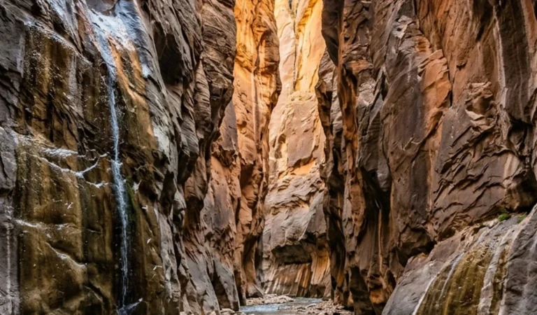 10 US National Parks You Need to Visit This Year (Epic Hikes, Best Seasons & Insider Tips!)